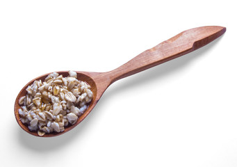Spoon of oats porridge on a white background.