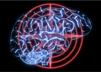 Illustration of a Human Brain