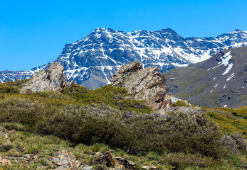 Fototapeta na wymiar Sierra Nevada National Park, Spain.
