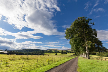 Fototapeta na wymiar A road near farmland outside of Crieff, Scotland.