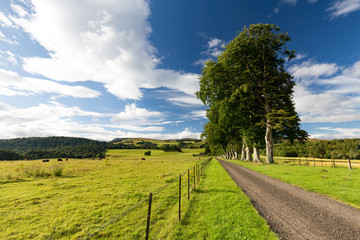 Fototapeta na wymiar A road leads into the distance near farmland outside of Crieff in Scotland.
