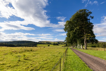 Blue sky over farmland near Crieff, Scotland.