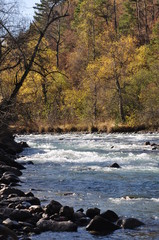 Mountain river in a forest with blue water