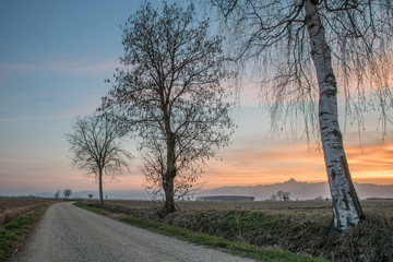 Strada di campagna al tramonto con Monviso sullo sfondo