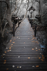 Fototapeta premium Wooden bridge in the autumn forest