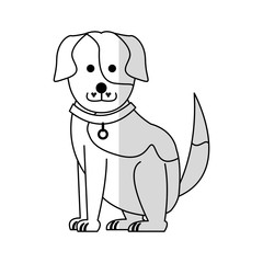 Fototapeta premium dog cartoon icon over white background. vector illustration