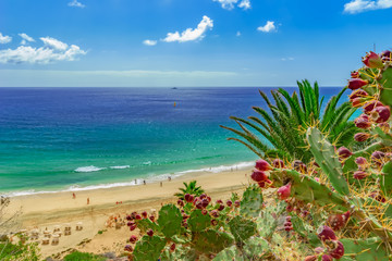 Strand von Esquinzo, Fuerteventura, kanarische Inseln, (Kanaren, Spanien)  - obrazy, fototapety, plakaty