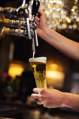 Bartender pouring the fresh beer in pub,barman hand at beer tap pouring a draught lager beer,beer from the tap,Filling glass with beer,fresh beer,pub.Bar.Restaurant.European bar.American bar.