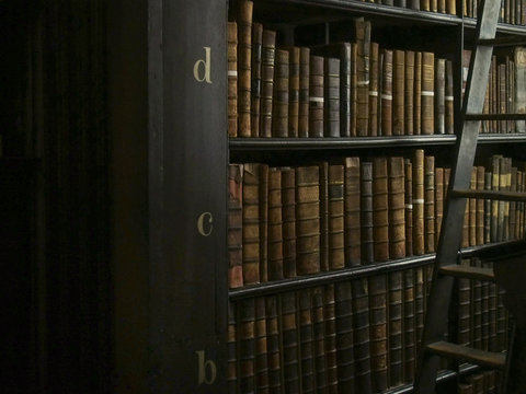 Antique Books and Ladder in Library