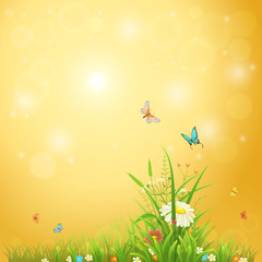 Bright summer background with sunshine, flowers, butterflies and grass
