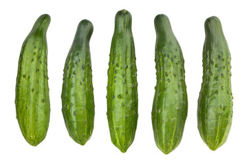 cucumber