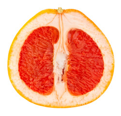 grapefruit