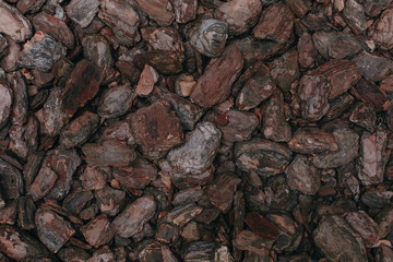 the background is tree bark