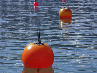 Boje mit Leuchtfarbe