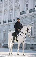 Policeman riding a horse in Madrid.