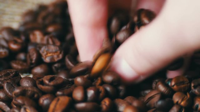 Woman Brown tauch Coffee beans loop video