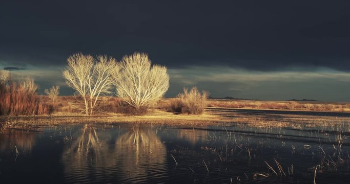 Slow motion wide shot of pond at golden hour