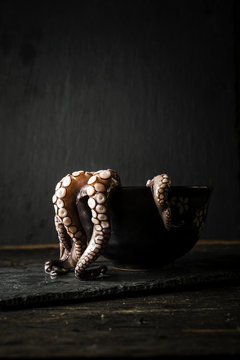 Octopus in bowl on black background