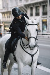 Obraz premium Policeman riding a horse in Madrid.