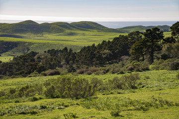 Obraz premium Point Reyes National Seashore, California