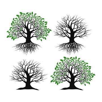 Set of trees on a white background. Trees with roots and without roots.