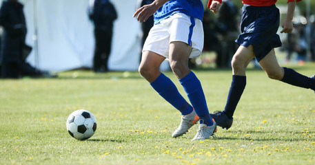 Fototapeta premium サッカー フットボール