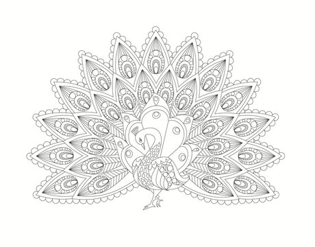 Outline ornamental vintage illustration of peacock isolated on white. Mono color black line art. Coloring book for adult page design. Antistress drawing. Vector illustration