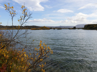 Herbst am See Myvatn in Island
