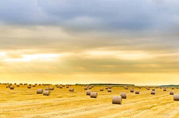 Fotobehang Oranje hay bales on foggy morning on meadow. sunrise landscape photo with vintage effect  © zefart