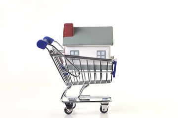 Einkaufswagen mit Haus