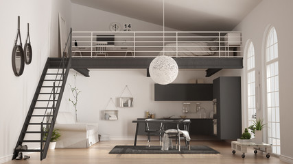 Scandinavian minimalist loft, one-room apartment with gray kitchen, living and bedroom, classic interior design