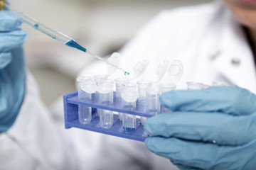 Laboratory assistant in the of food quality.Cell culture assay to test genetically modified seed