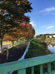 サイクリングロード