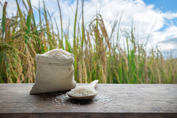 Fototapeta na wymiar White rice in sack and wooden spoon with the rice field background
