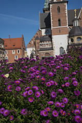 Fototapeta na wymiar Royal Wawel Castle and Cathedral with its lovley Garden filled with Flowers in Krakow Poland