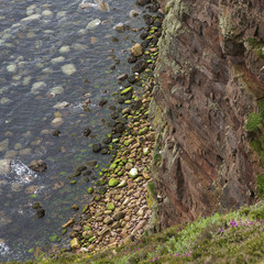 Scotland