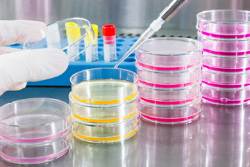 Cancer research equipment