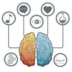 brain progress network media vector illustration eps 10