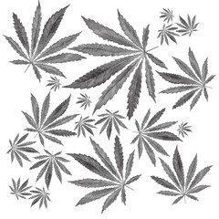 Vector illustration of dotted Cannabis sativa leaf