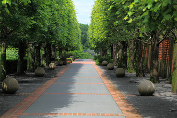Tree Lined Pathway