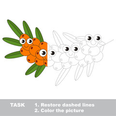 Buck thorn to be colored. Vector trace game.