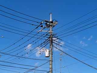 電線と電柱