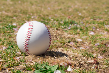 野球のボール