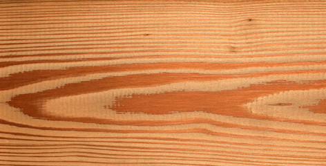 Akita Cedar