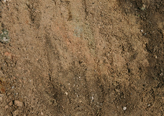 Soil