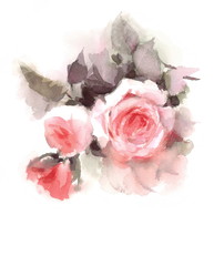 Obraz na płótnie Canvas Watercolor English Garden Roses Flowers Floral Wedding Bouquet Background Texture Hand Painted Illustration