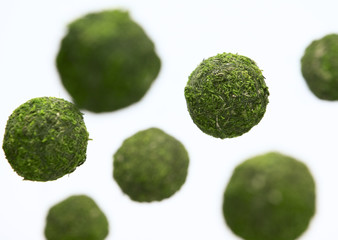 Moss balls