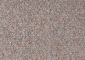 Cloth