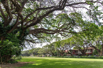 Silliman University, Dumaguete City, Philippines