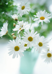 Marguerite